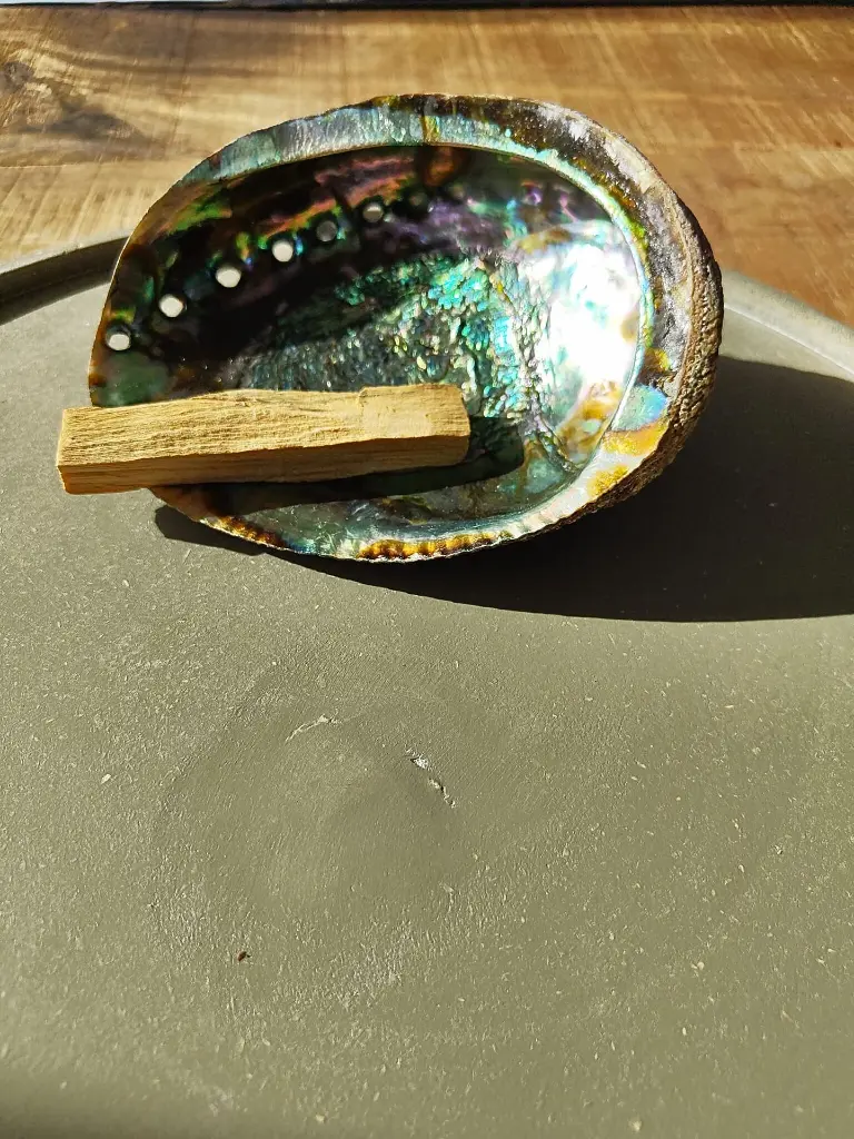 abalone schelp.webp
